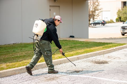Commercial Landscaping Crew Maintenance Spraying Weeds Parking Lot
