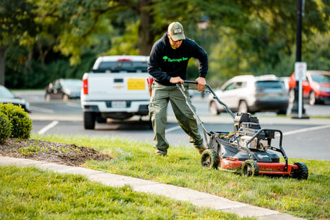Commercial Landscaping Crew Push Mower Lawn Care Parking Lot Maintenance 3