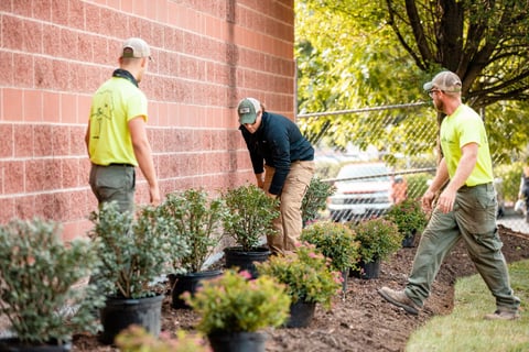 Commercial Landscaping Hospital Crew Enchancement Planting Installation Shrubs