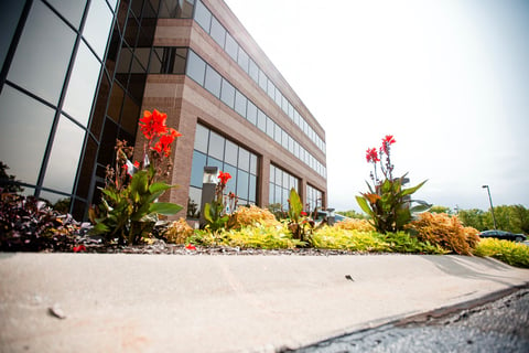 Commercial Landscaping Office Building Annual Planting