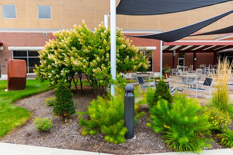 Commercial Landscape beds around outdoor seating area