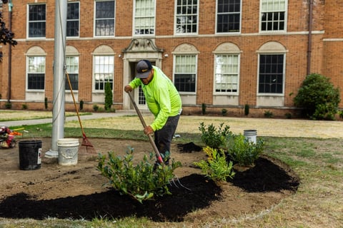 Commercial landscaping shaker school case study crew mulching 1