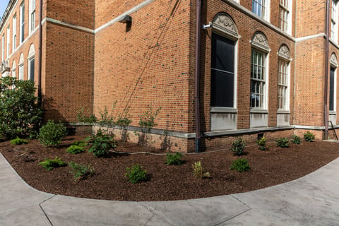 Commercial landscaping shaker school case study garden bed