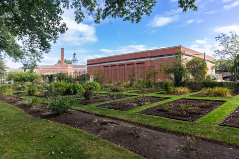 Commercial landscaping shaker school case study garden walkways