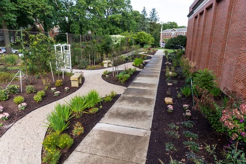 Commercial landscaping shaker school case study gardens pathways