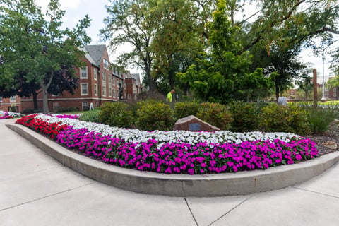 University flower enhancment landscape beds 1