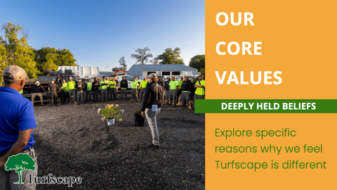 Core Values - Turfscape.001