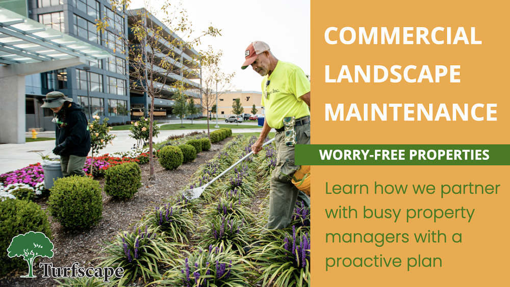 Essential Landscape Management Services for Commercial Properties