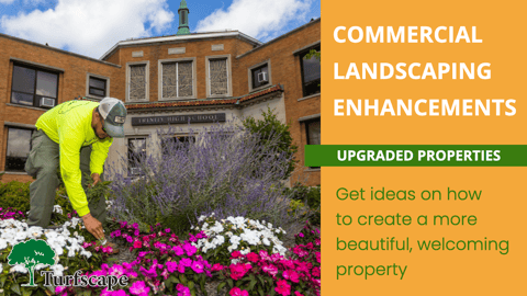 commercial landscaping enhancements.001